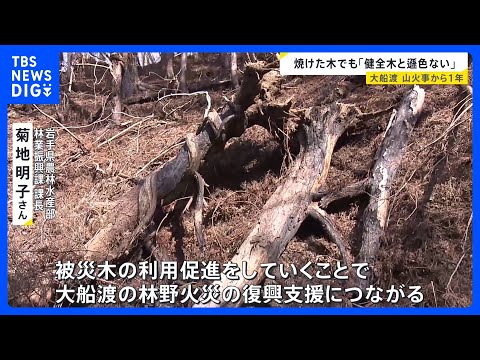 “平成以降最大”岩手・大船渡の山火事から1年　「ファイヤーロード」「水を使わない」アメリカに学ぶ山火事対策　「燃えた木… サムネイル
