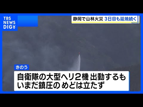 静岡・藤枝市 山林火災発生から3日 現在も延焼中 鎮圧の見通し立たず｜TBS NEWS DIG サムネイル