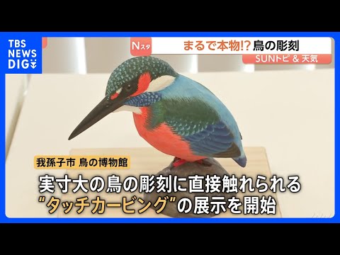 実物大の鳥の彫刻を直接触れる“タッチカービング” 「多くの鳥を触って目の見えない人に記憶してもらいたい」【SUNトピ】…