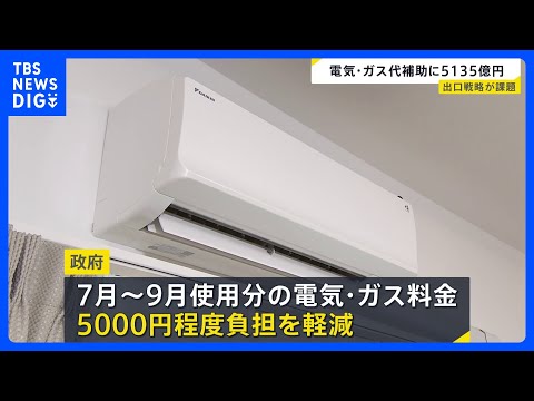 夏の電気・ガス補助金 予備費から5135億円支出を閣議決定　2022年以降累計で15兆円近い財政負担に｜TBS NEW…