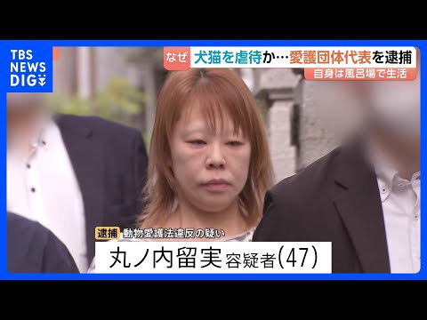 「暴れるような鳴き声」多頭飼育崩壊か… 動物愛護団体代表が犬猫39匹を虐待した疑いで逮捕　自宅には30匹以上の死骸が散… サムネイル