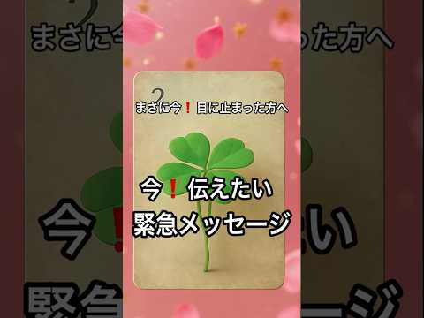 【まさに今❗️目に止まった方へ】 占い タロット ルノルマン美音タロット サムネイル