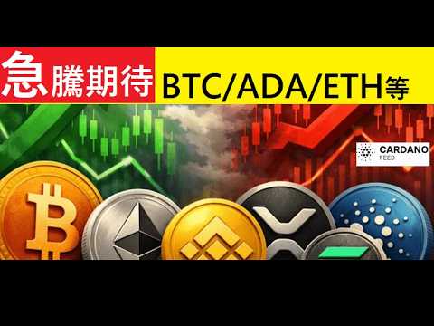 【中堅投資家】2026年後半好機「BTC/ADA/ETH/SOL/XRP」急騰期待（翻訳要約） サムネイル