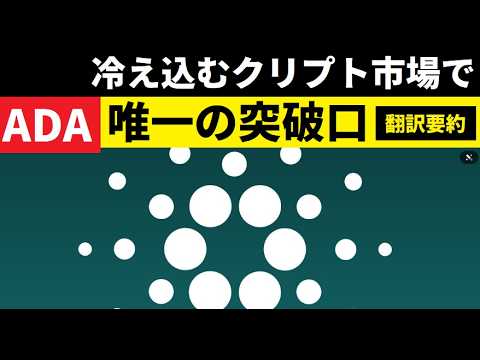 【中堅投資家】冷え込む暗号通貨市場でADAが唯一の突破口になるか（翻訳要約） サムネイル