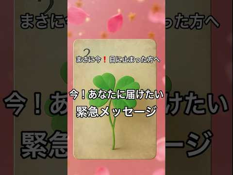 【まさに今❗️目に止まった方へ】 占い タロットルノルマン美音タロット美音 サムネイル