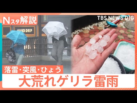 「落雷・突風・ひょう」大気不安定で各地でゲリラ雷雨に…天気が急変する予兆は？【Nスタ解説】｜TBS NEWS DIG
