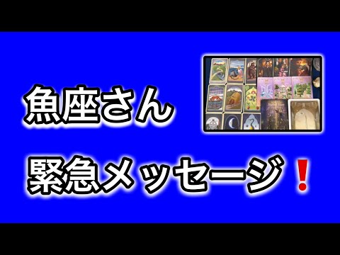 【最高の2月を迎えます✨魚座さんへのメッセージ💌】全体運⭐️仕事運⭐️恋愛運🩷において最もラッキーなお誕生日の方をお伝… サムネイル