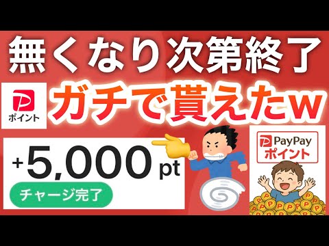 【急げ‼︎】PayPay5000p配ってる！さらに今なら500pも確定で…！！！ サムネイル