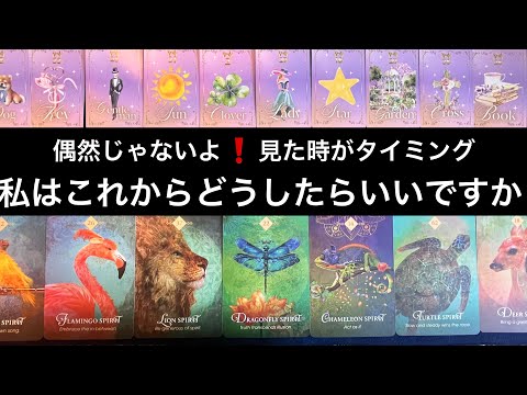 【必然のタイミング😳この動画に縁のある方🌳私はこれから❤️どうしたらいいですか⁉️🏇】グランタブローで視るルノルマン占… サムネイル