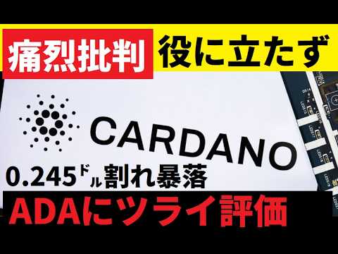 【中堅投資家】カルダノADAに強い批判「さらに8割の暴落リスク」（翻訳要約） サムネイル