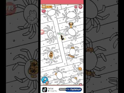 猫ちゃんを探せ(レベル2254ステージ2254)攻略 サムネイル