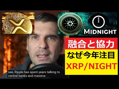 【中堅投資家】the RIPPLE x MIDNIGHT Development（いち早く翻訳・要約） サムネイル