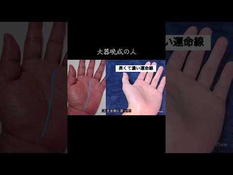 コツコツ努力が実る人 占い 手相 手相占い 手相鑑定 サムネイル