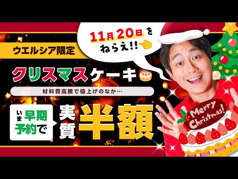 【ウエル活】物価高の救世主!!クリスマスケーキが実質半額になる節約術【早期予約特典】 サムネイル