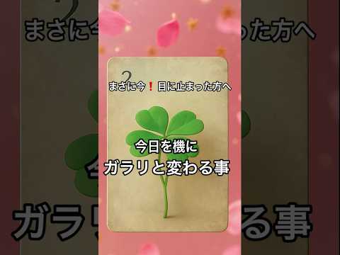【まさに今❗️目に止まった方へ】 #占い #タロット #ルノルマン#美音タロット サムネイル