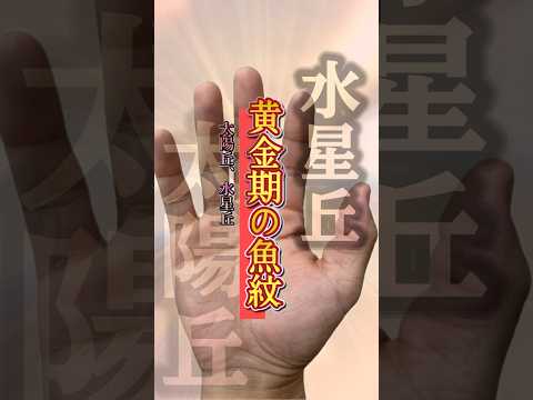 【開運金運】黄金期が始まる手相 手相  占い  金運 サムネイル