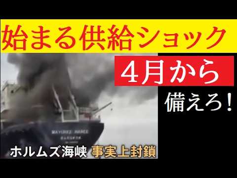 【中堅投資家】ホルムズ海峡クライシス（2026年日本の危機） サムネイル