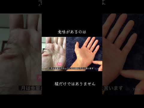 手のひらにあるパワースポットについて #占い #スピリチュアル #手相鑑定 #手相占い #手相 サムネイル