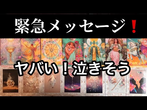 【重要日🌚2/17⚡️今日中に見てほしい】この今日✨あなたに急いで伝えたい🏇緊急メッセージ💌ガッツリ読み解きます サムネイル