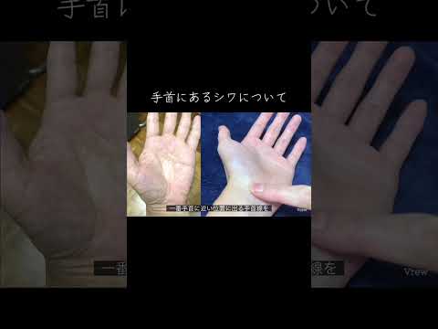 手首のシワにも意味があります 占い 手相 手相占い 手相鑑定 サムネイル