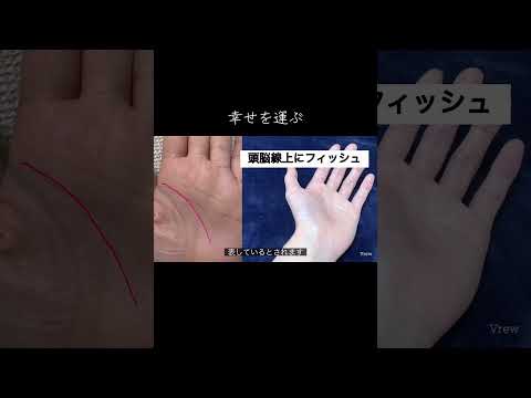 感情線、頭脳線、結婚線にフィッシュがついている 占い 手相 手相占い 手相鑑定 サムネイル