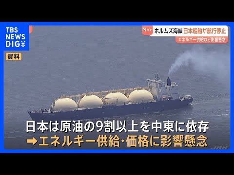 船舶会社がホルムズ海峡の航行停止　イラン革命防衛隊が「通過は許されない」と警告　エネルギー価格への影響懸念｜TBS N… サムネイル