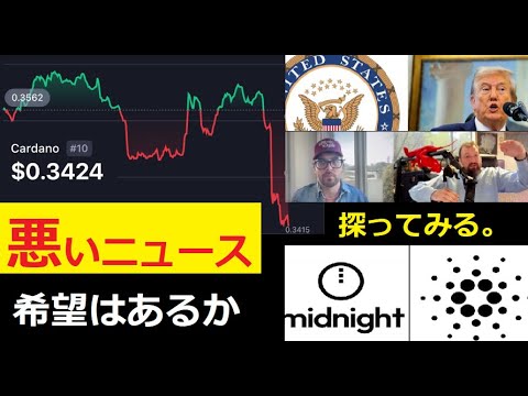 【中堅投資家】仮想通貨ニュースの減少「ビッコイン」「カルダノ」 サムネイル