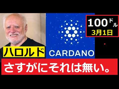 【中堅投資家】謎の男「ハロルド」3月1日までにADAが100㌦と予測。 サムネイル