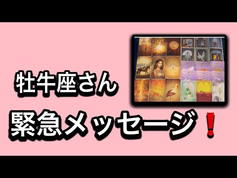 【最高の1月を迎えた✨牡牛座さんへのメッセージ💌】⚡️😱全体運⭐️仕事運⭐️恋愛運🩷人間関係🩷ガッツリ読み解きました🃏 サムネイル