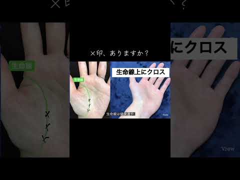 頭脳線、生命線上に×印がある場合は？ 占い 手相 手相占い 手相鑑定 サムネイル