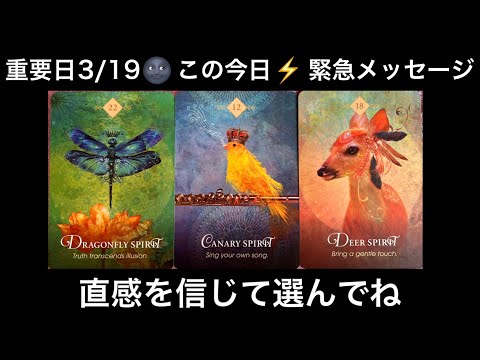 【重要日🌚3/19⚡️に見て❗️】この今日🌸あなたに急いで伝えたい🏇緊急メッセージ💌⭐️ガッツリ読み解きます サムネイル