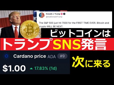 【中堅投資家】トランプSNS投稿「S&Pに続き、仮想通貨の波は来る！」 サムネイル