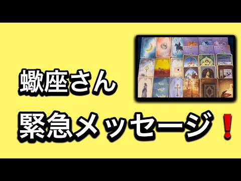 【最高の1月を迎えた✨蠍座さんへのメッセージ💌】⚡️😱全体運⭐️仕事運⭐️恋愛運🩷人間関係🩷ガッツリ読み解きました🃏 サムネイル