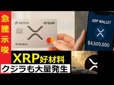 【中堅投資家】XRPクジラ大量買いとXRPマスターカード（1月16日） サムネイル