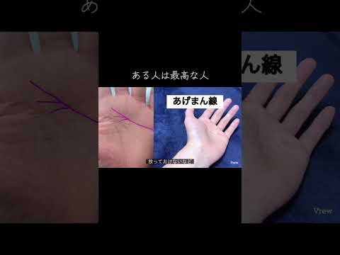 パートナーにあったら最高な人生に 手相 占い 手相占い 手相鑑定 サムネイル