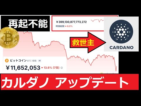 【中堅投資家】BTC崩壊！救世主はADA サムネイル