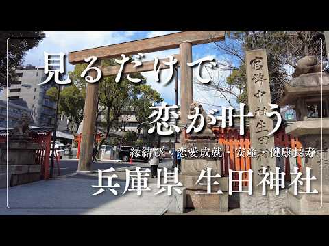 ※今日必ず見てください！愛が叶い始める ～恋愛運・結婚運・縁結び～（神戸 生田神社） サムネイル