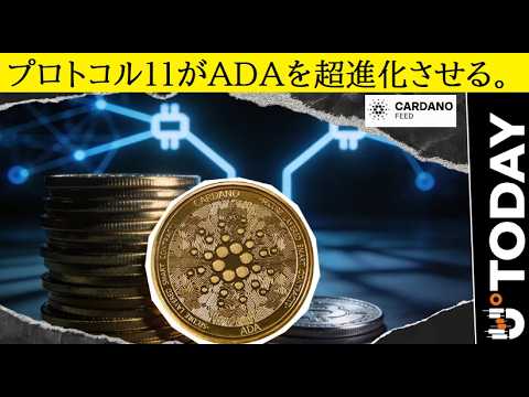【中堅投資家】強力なアップデート「カルダノADAへプロトコル11」始まる（翻訳要約） サムネイル