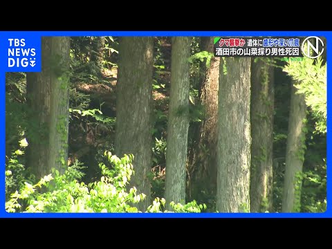 クマが襲ったか、遺体に歯形や深い爪のあと　山中で発見の遺体、山菜採りに出て行方不明の78歳男性と確認  山形・酒田市｜… サムネイル