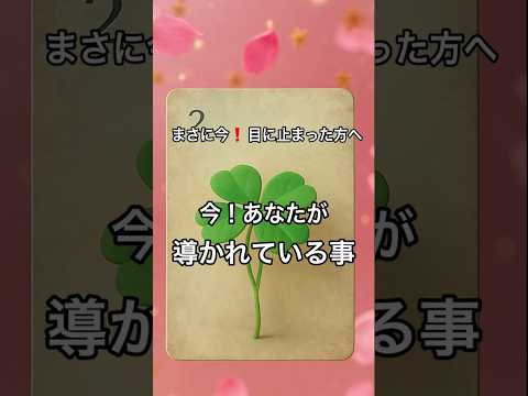 【まさに今❗️目に止まった方へ】 占い タロットルノルマン美音タロット美音 サムネイル