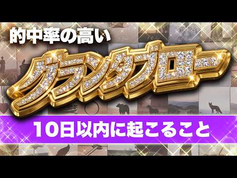 グランタブローで10日以内に起こることを占います‼️恋愛から仕事まで全部観ます✨見た時がタイミング⚠️
