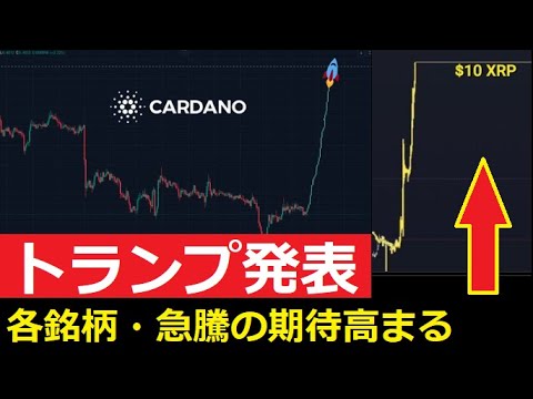 【中堅投資家】トランプ発表にPolymarketが88％の高水準を打ち出す。 サムネイル