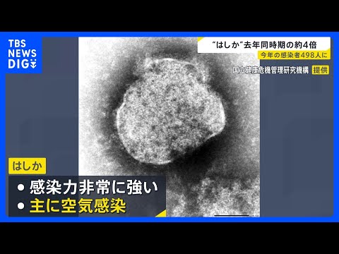 今年の「はしか」感染者数498人 去年の同時期の約4倍に　感染後10日ほどで発熱や発疹の症状　上野厚労大臣「必要に応じ… サムネイル