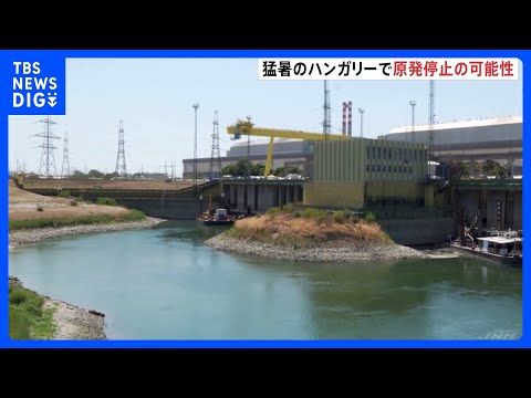 「危機的な5日間が今から始まる」ハンガリー連日の猛暑でドナウ川の水位低下が深刻　 原発が完全停止の可能性　冷却水確保出… サムネイル