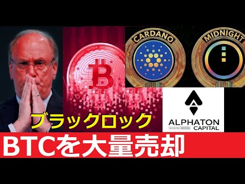 【中堅投資家】ブラックロックがビットコイン大量売却だがカルダノ強気 サムネイル