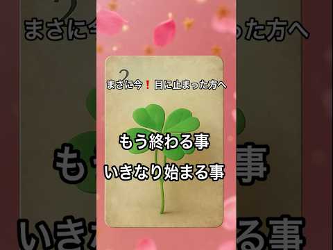 【まさに今❗️目に止まった方へ】 占い タロットルノルマン美音タロット サムネイル