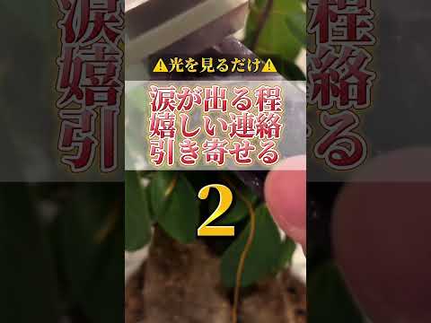 何度も見ると願いが叶いやすくなります。感謝の心も忘れずに願望をコメントをして下さいね。#開運  #運気  #運気上昇…