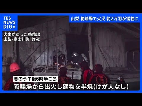 養鶏場で火災　2万1000羽のほとんどが死んだか　「ガスボンベが燃え建物に延焼」と通報　山梨・富士川町｜TBS NEW…