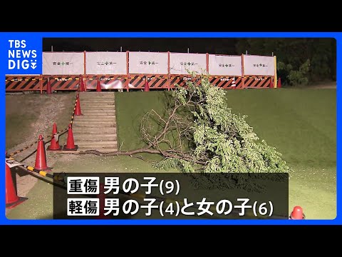 長さ約4.5メートルの枝が落下　子ども3人が重軽傷　「イヌエンジュ」の木、強風で折れたか　京都・宇治市の運動公園｜TB… サムネイル