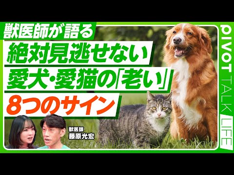 【愛犬・愛猫の「老い」の８つのサイン】かかりつけ医との信頼関係/ペット長寿化の光と影/お別れの兆候と飼い主の決断/ペッ… サムネイル